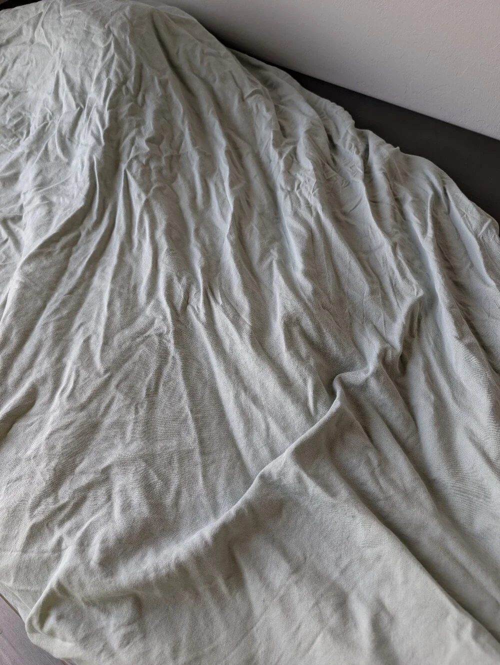 IKEA Nasselklocka Botanic Light Green Duvet Cover Full/Queen Size Cotton Rayon